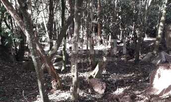 Imagem 6: Terreno - Condomínio Clube de Campos - Valinhos