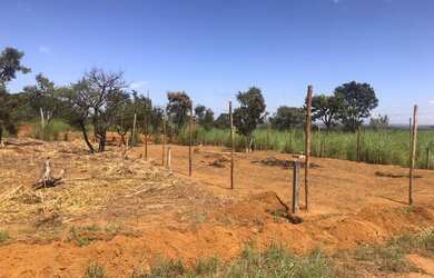 Imagem 4: Lote/Terreno para venda tem 400 metros quadrados em Ponte Alta Norte - Brasília - DF
