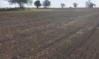 Imagem 5: Sítio com 6,5 Alqueires ou 157.300,00 metros, Quadra/SP