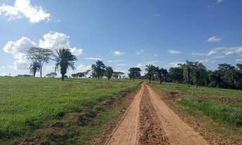 Imagem 4: Ótima fazenda de 63 alqueires em Buritama