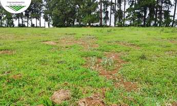 Imagem 4: Lote/Terreno para venda com 600 metros quadrados em Vila Trabalhista - Guarulhos - SP