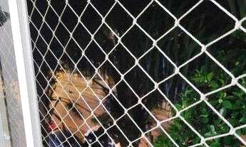 Imagem 3: Apartamento à venda, 75 m² por R$ 280.000,00 - Taquara - Rio de Janeiro/RJ