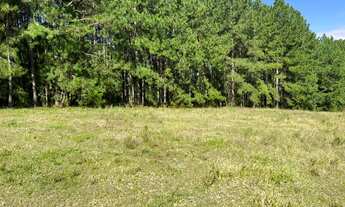 Imagem 2: Sítio a 9km do asfalto, em Gravataí