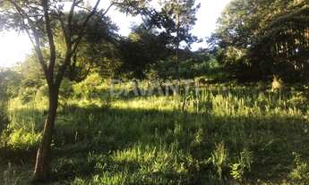 Imagem 2: Terreno - Vale Verde - Valinhos