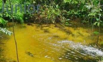 Imagem: Fazenda/Sítio/Chácara para venda 2 Alqueires