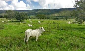 Imagem: Fazenda com 1 dormitório à venda, 3.115