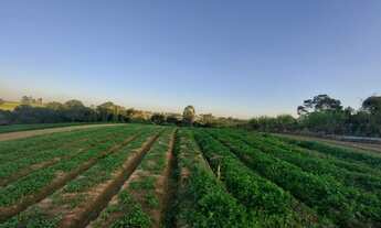 Imagem 5: Terrenos Planos e Limpos Para Sua Casa de Campo em Ibiúna - SP PM