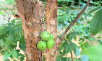 Imagem 4: Itaim Bibi - Apartamento com vista panorâmica, três suítes, três vagas, terraço gourmet