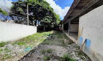 Imagem 2: Aluguel Barracão TUBALINA