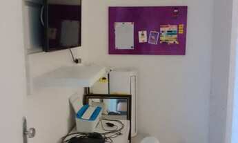 Imagem 5: Flor de lis no Inácio Barbosa