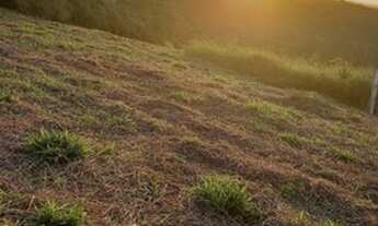 Imagem 5: Lote/Terreno para venda possui 1000 metros quadrados em Centro - Igaratá - SP