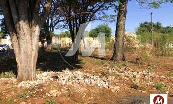 Imagem 6: Terreno (terreno normal