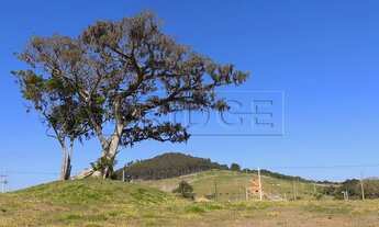 Imagem 3: PORTO ALEGRE - Casa de Condomínio - Vila Nova