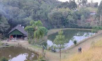Imagem: Linda chácara em Contenda ( aceito proposta