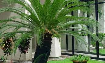 Imagem 5: Apartamento com 03 quartos, 02 suites