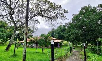 Imagem 3: Sítio a venda em Candeias