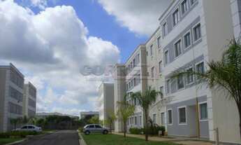 Imagem 7: Araçatuba - Apartamento - Umuarama