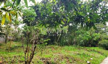 Imagem 3: Chácara - Chácaras São Bento - Valinhos