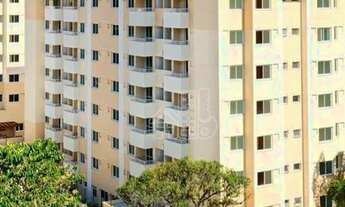 Imagem 2: Cobertura - Pendotiba