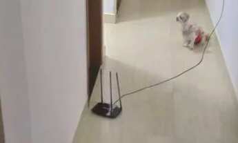 Imagem 5: Triplex Casa em condomínio com 3 dormitórios