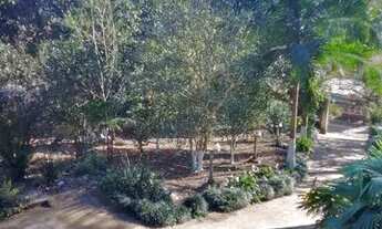 Imagem 6: Chácara próximo Rod Índio Tibiriçá