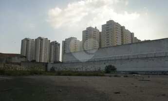 Imagem 4: EXCELENTE TERRENO 3000m² Água Branca - próximo a Marginal Tietê e Av.Comendador Martinelli