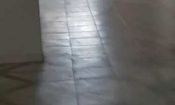 Imagem 3: Aluga-se casa Casa com 2 dormitórios