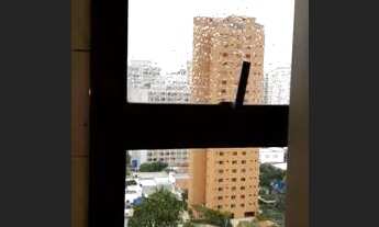 Imagem 6: Moema pássaros, 2 suítes, 2 vagas de garagem