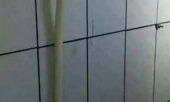 Imagem 6: Apartamento de um quarto para alugar em São Leopoldo