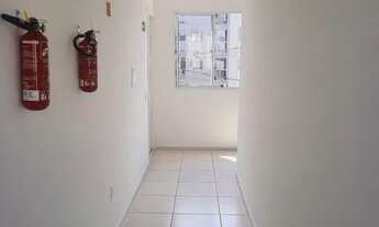 Imagem 3: Aluguel Apartamento Pq Ville Municipal