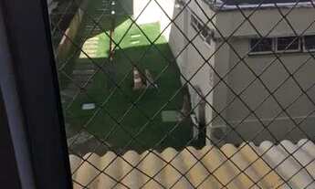 Imagem 4: Apartamento Mobiliado Nascente 2/4 em condominio fechado - Abrantes - Camaçari