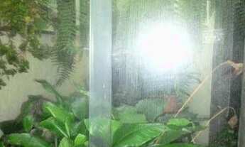 Imagem 4: Sobrado com 4 dormitórios, 280 m² - venda por R$ 815.000,00 ou aluguel por R$ 3.888,00/mês