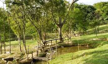 Imagem 5: VENDO LINDA CHACARA DE 3 HECTARES EM IÇARA