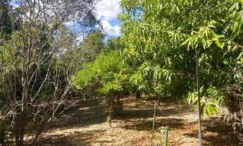 Imagem 3: Sitio 4.200m² com piscina, água corrente nos fundos, espaço gourmet Jaboticatubas