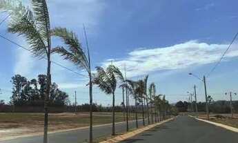 Imagem 3: Terreno em Avenida principal 220m2