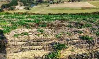 Imagem 6: Lote/Terreno para venda com 500 metros quadrados em Centro - Atibaia - SP