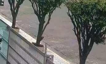 Imagem 6: Alugo apto para final do ano