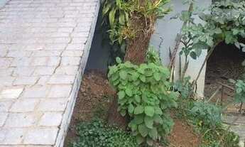 Imagem 5: Casa com 3 dormitórios à venda, 407 m² por R$ 2.300.000,00 - Vila Romana - São Paulo/SP