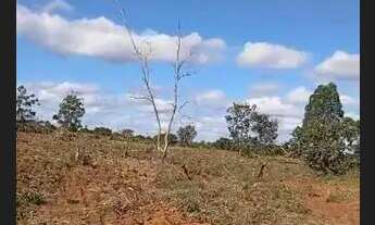 Imagem 3: Área 200 Hectares!!!Com energia Trifásico Próximo/Altitude Café ou Eucaliptos