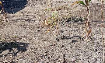 Imagem 4: Lote 360 m² em Esmeraldas