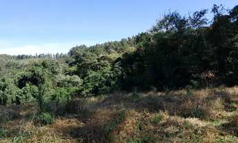 Imagem: Área Rural 7,72 Alqueires - 3 Barras de