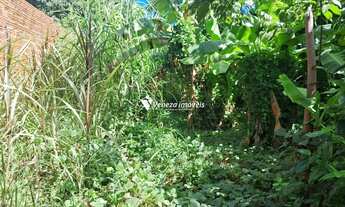 Imagem 6: Terreno para aluguel na Rua Roma para aluguel