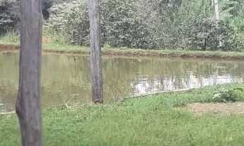 Imagem 6: Vende-se chácara