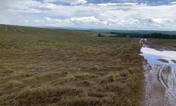 Imagem 2: Fazenda a venda em Ipameri - Goiás!!!