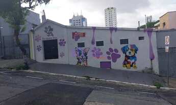 Imagem: Loja para Locação 144M², Vila Gomes Cardim