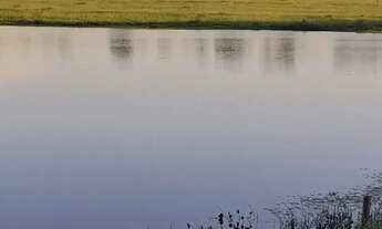 Imagem: Fazenda à Venda em Mundo Novo - GO 100