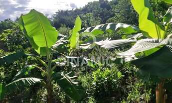 Imagem 7: Chácara à venda com 100m em área de 7000m na Gameleira GO próxima a Anápolis