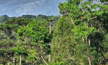 Imagem 3: Linda chácara com piscina e vista para Serra do mar