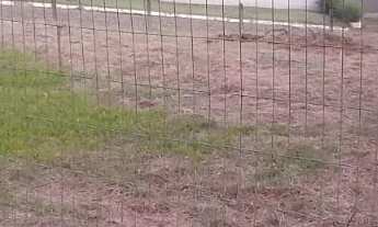 Imagem 7: Terreno plano Terreno / lote com venda por R$1.113.000