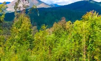 Imagem: Chácara em Rio branco do Sul